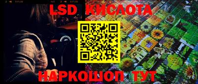 сатива Кимры
