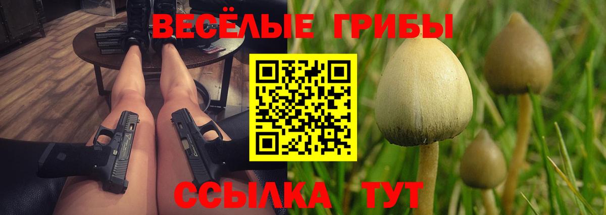 Черногорск  Галлюциногенные грибы MAGIC MUSHROOMS  Вход с VPN 